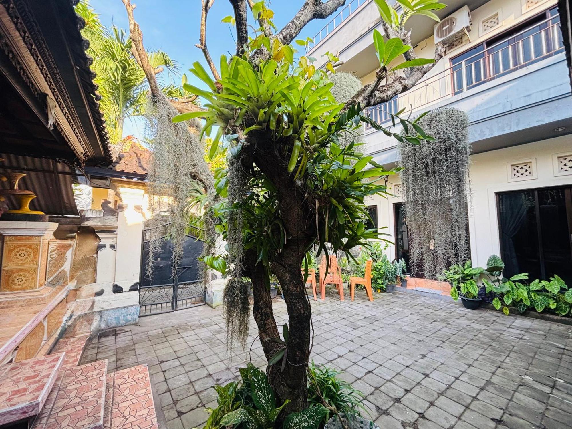 Mama Mega Homestay Pesanggaran Экстерьер фото